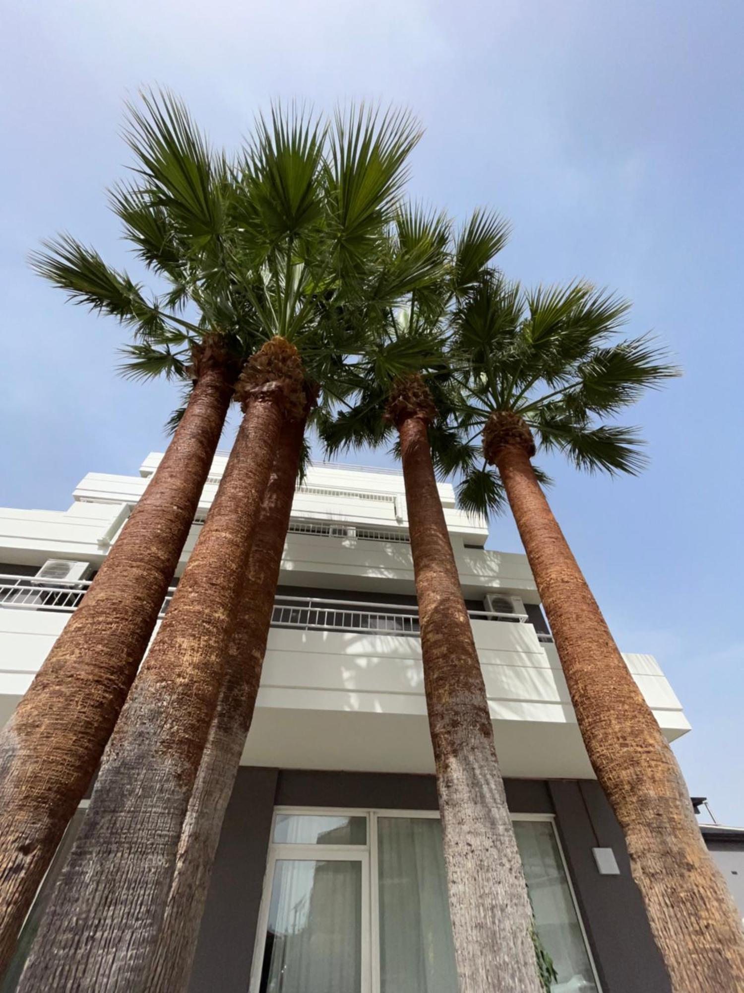 Mediterraneo Hotel